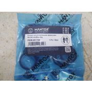 F00RJ01728 Кольцо уплотнительное топливной форсунки MANTOR