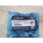 F00RJ01605 Кольцо уплотнительное топливной форсунки MANTOR