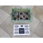200V01201-0417, 200V025110771, Поршневая группа MC11 HOWO T5G T7H VALMO